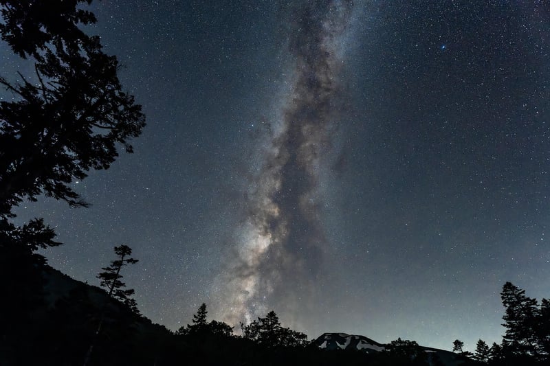 Mindfulness in nature
